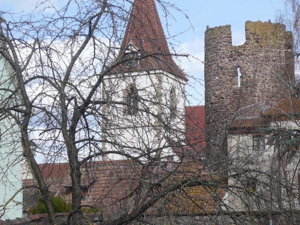 Gite Jasmin Herrlisheim-pres-Colmar Exterior photo